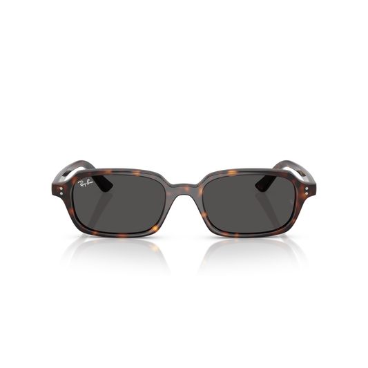 Lentes De Sol Ray-Ban RB4455 Zuri Gris/Havana
