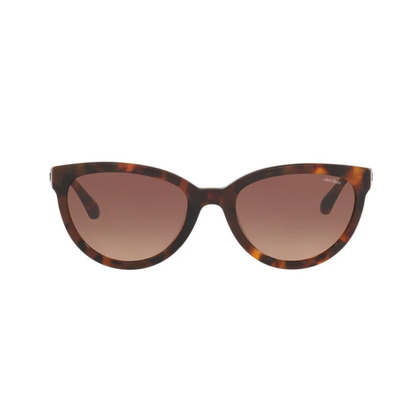 Lentes De Sol Jack Pacific JK6006U Café/Havana