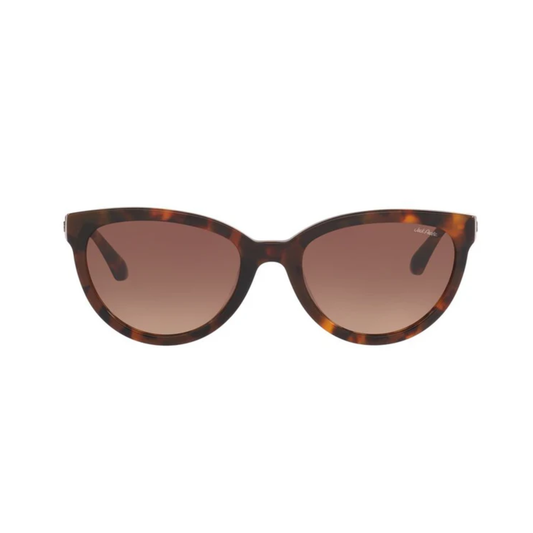 Lentes De Sol Jack Pacific JK6006U Café/Havana