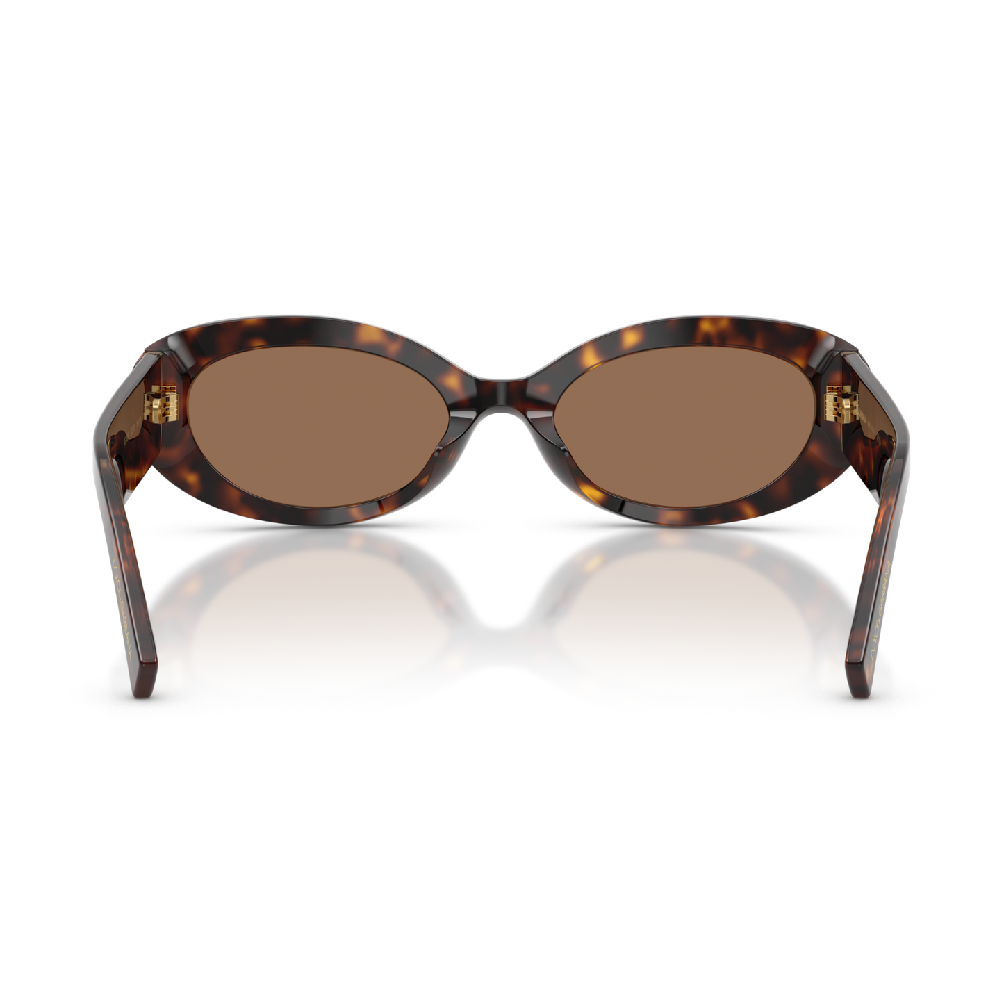 Lentes De Sol Dolce & Gabbana DG4537 Café/Havana
