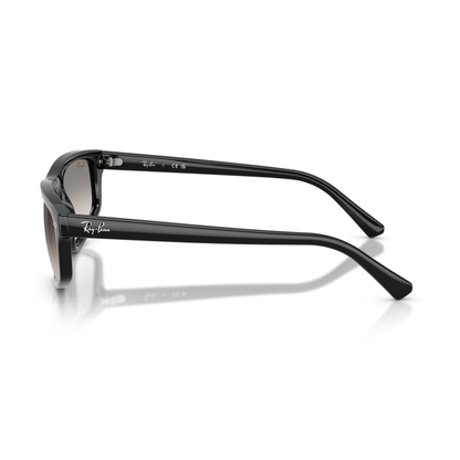 Lentes De Sol Ray-Ban RB2225 Gris/Negro