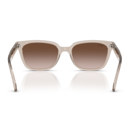 Lentes De Sol Ray-Ban RB2243D Transparent Light Brown Light Brown Gradient Dark Brown Café/Marrón