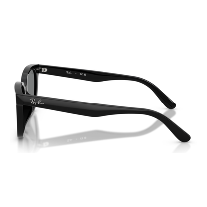 Lentes De Sol Ray-Ban RB2243D Black Dark Grey Gris/Negro