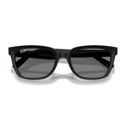 Lentes De Sol Ray-Ban RB2243D Black Dark Grey Gris/Negro