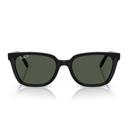 Lentes De Sol Ray-Ban RB2243D Black Polar Dark Green Verde/Negro