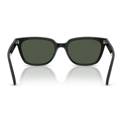 Lentes De Sol Ray-Ban RB2243D Black Polar Dark Green Verde/Negro
