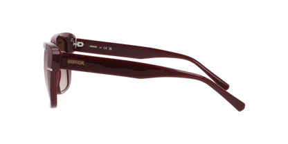 Lentes De Sol Unofficial UO6216 Café/Rojo