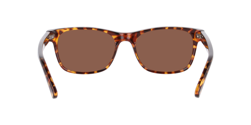 Lentes De Sol Seen NE6078 Café/Havana