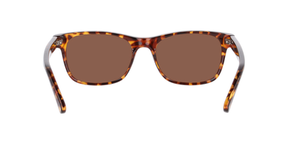 Lentes De Sol Seen NE6078 Café/Havana