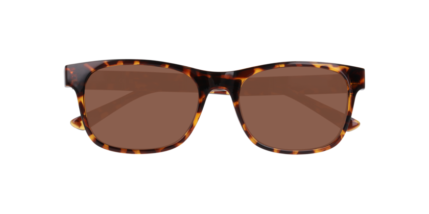 Lentes De Sol Seen NE6078 Café/Havana