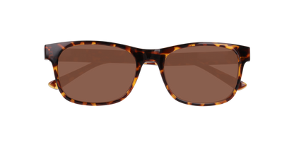 Lentes De Sol Seen NE6078 Café/Havana