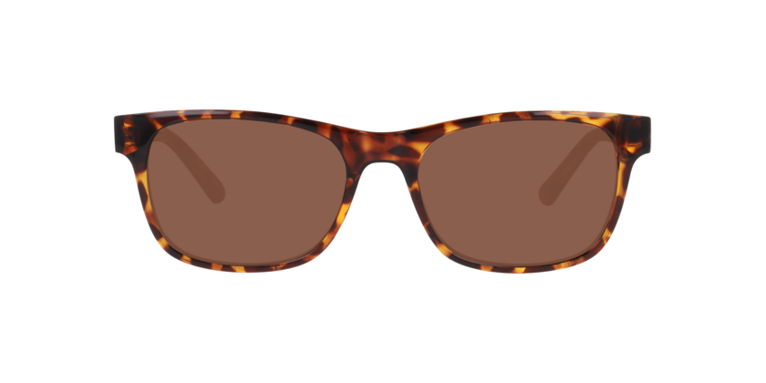 Lentes De Sol Seen NE6078 Café/Havana