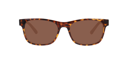 Lentes De Sol Seen NE6078 Café/Havana