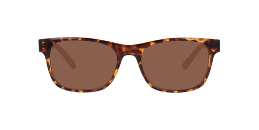 Lentes De Sol Seen NE6078 Café/Havana