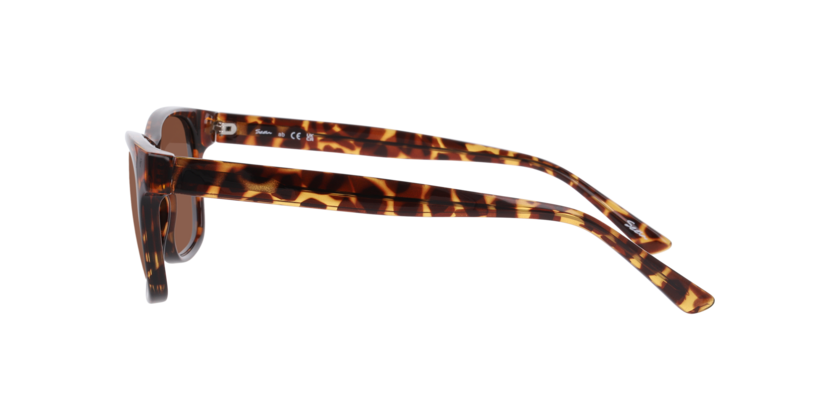 Lentes De Sol Seen NE6078 Café/Havana