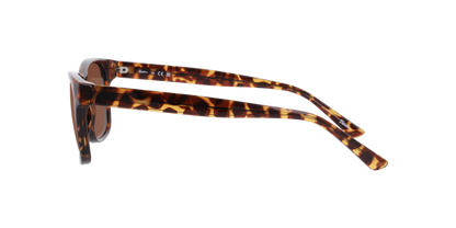 Lentes De Sol Seen NE6078 Café/Havana