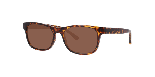 Lentes De Sol Seen NE6078 Café/Havana