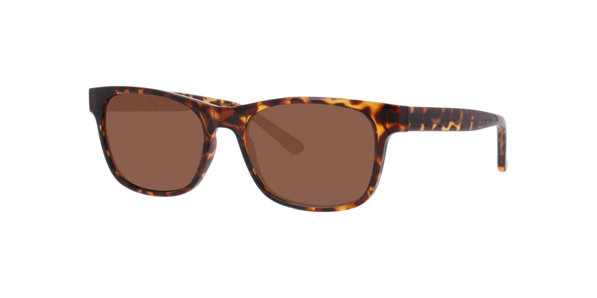 Lentes De Sol Seen NE6078 Café/Havana