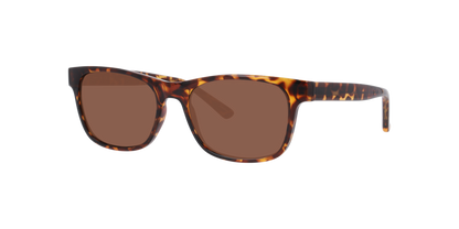 Lentes De Sol Seen NE6078 Café/Havana