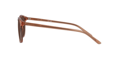Lentes De Sol Seen NE6007 Te Café/Rosa