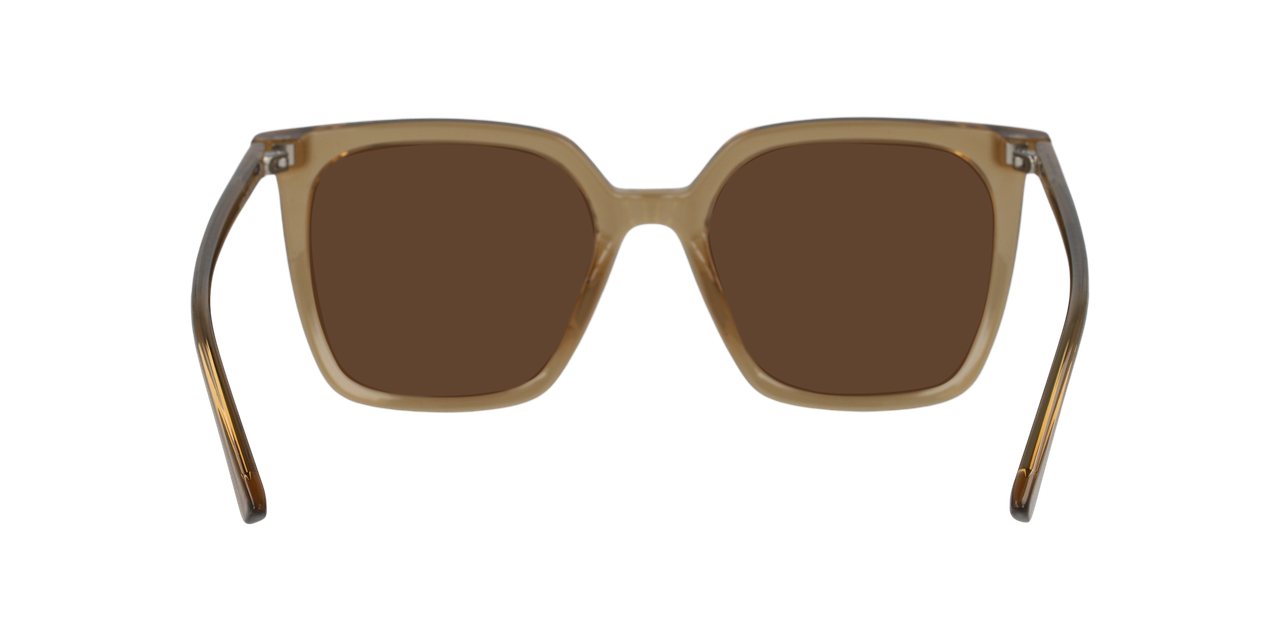 Lentes De Sol Seen NE6076 Café/Café