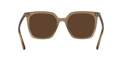 Lentes De Sol Seen NE6076 Café/Café