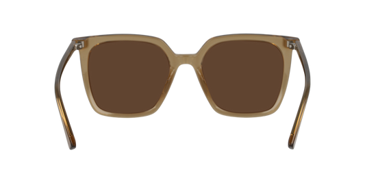 Lentes De Sol Seen NE6076 Café/Café