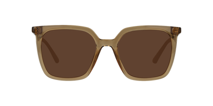 Lentes De Sol Seen NE6076 Café/Café