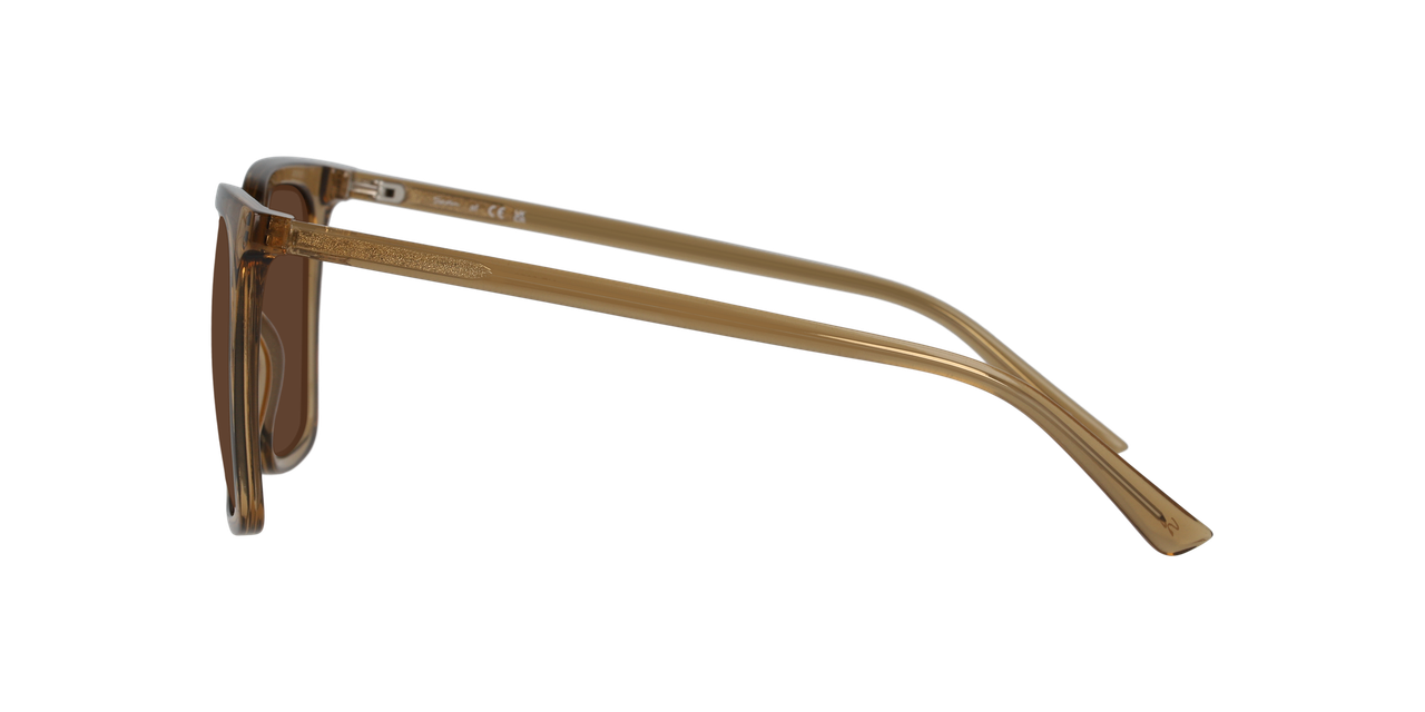 Lentes De Sol Seen NE6076 Café/Café