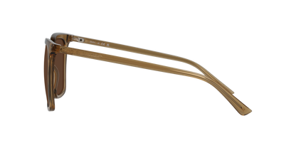 Lentes De Sol Seen NE6076 Café/Café