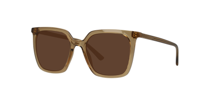 Lentes De Sol Seen NE6076 Café/Café