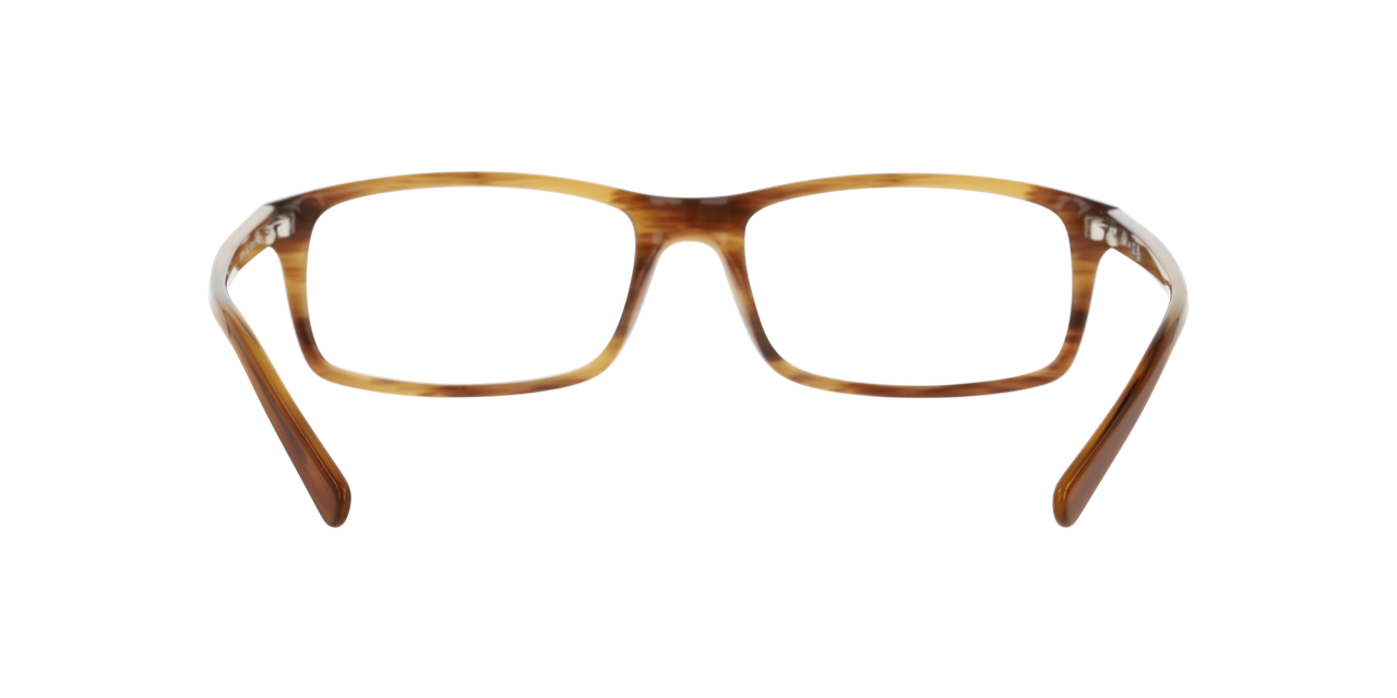 Lentes Oftálmicos Dbyd DB2104 Havana