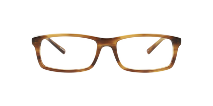 Lentes Oftálmicos Dbyd DB2104 Havana
