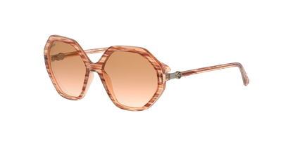 Lentes De Sol Unofficial UO6142 Unsf0231 Café/Café