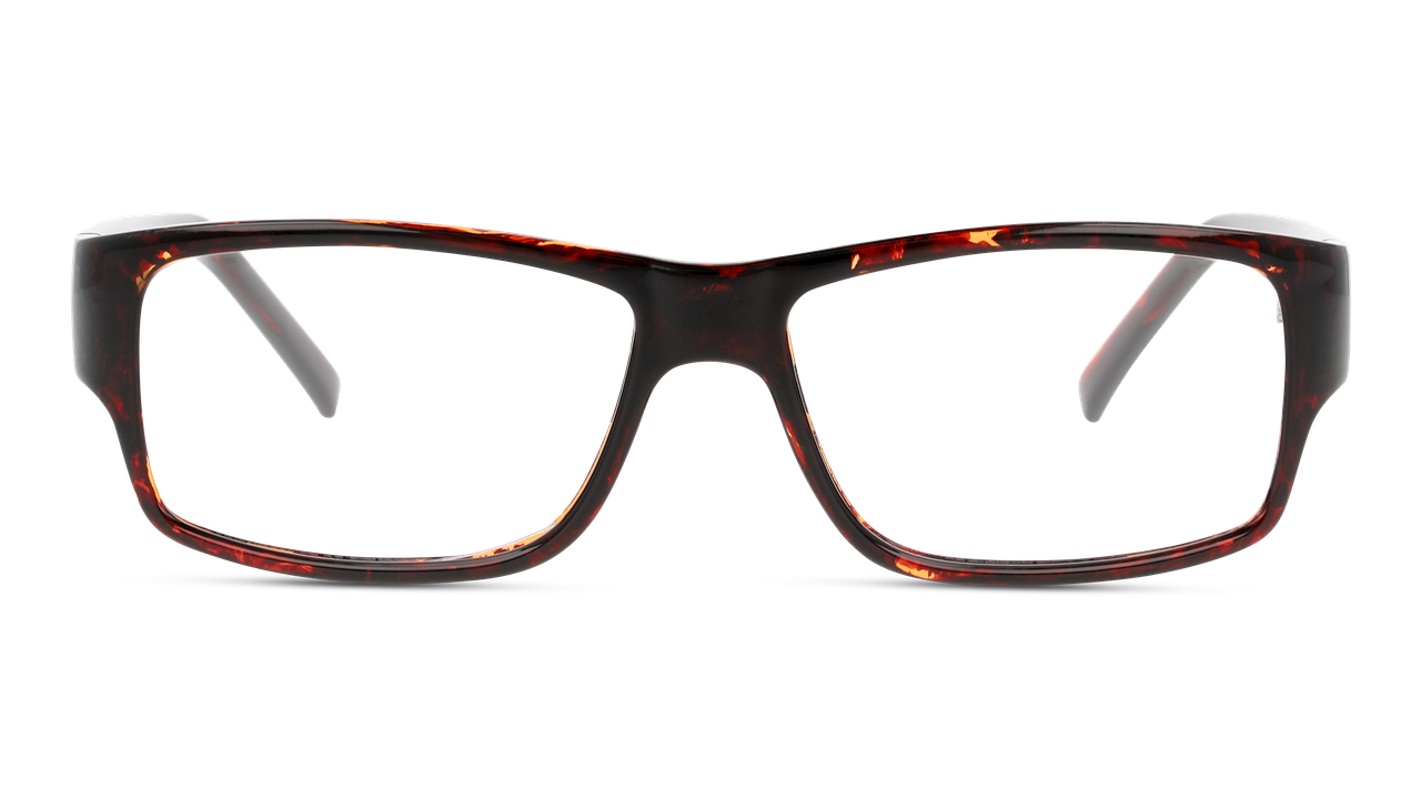 Lentes Oftálmicos Seen NE3016 Sncm18 Havana