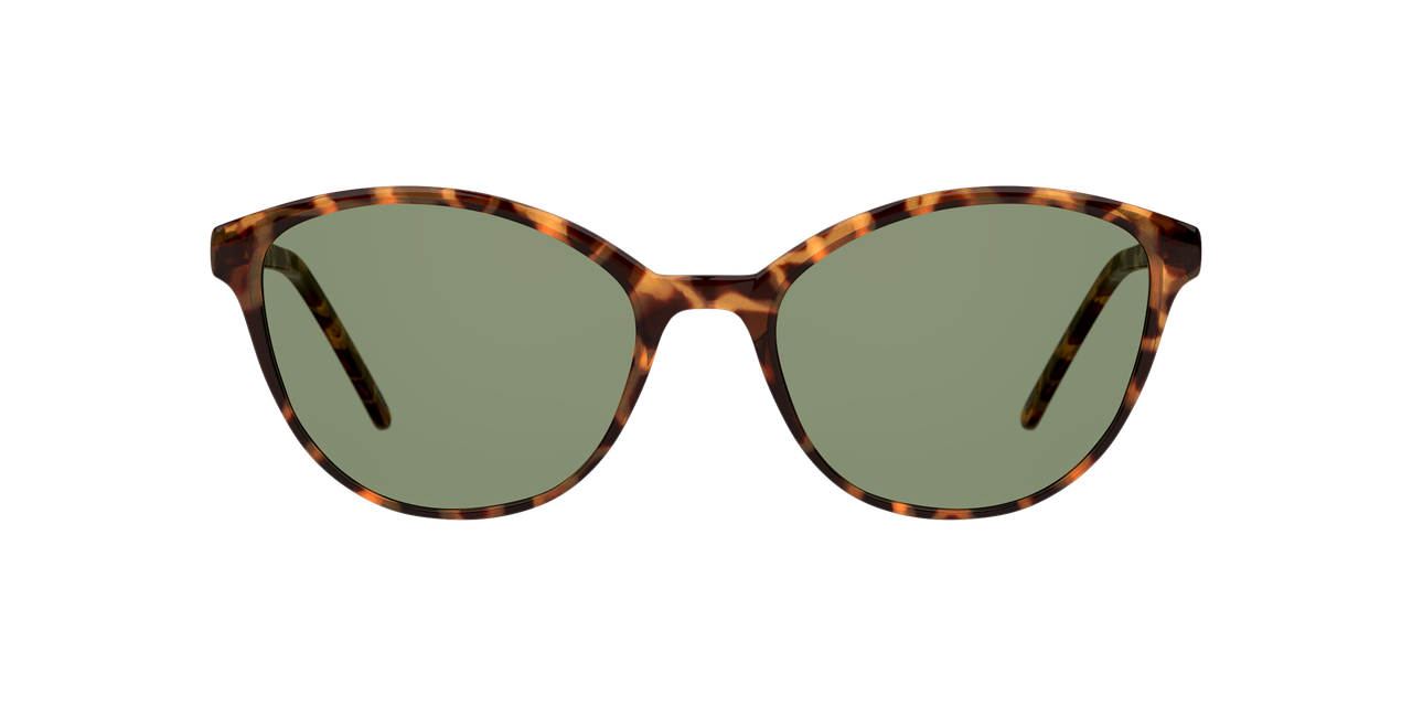 Lentes De Sol Seen NE6004 Snsf0024 Verde/Havana