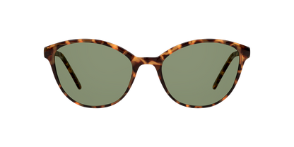 Lentes De Sol Seen NE6004 Snsf0024 Verde/Havana