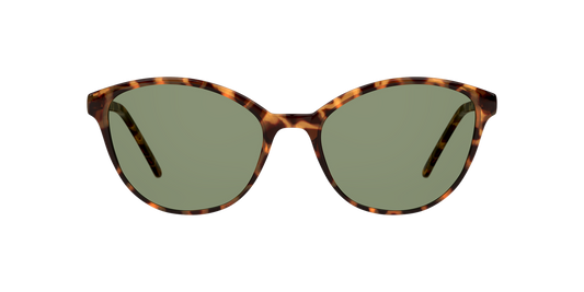 Lentes De Sol Seen NE6004 Snsf0024 Verde/Havana