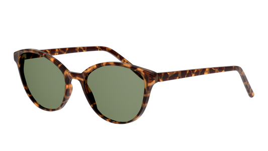 Lentes De Sol Seen NE6004 Snsf0024 Verde/Havana