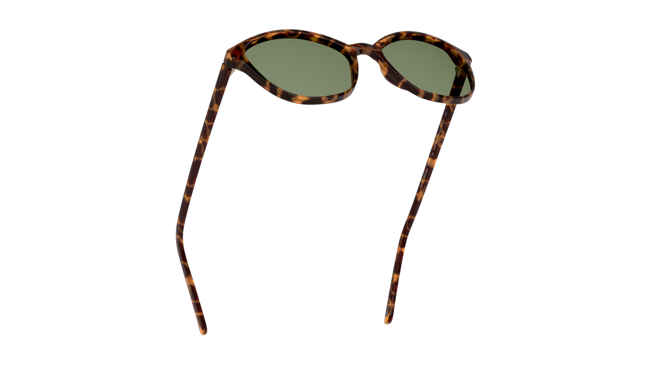Lentes De Sol Seen NE6004 Snsf0024 Verde/Havana