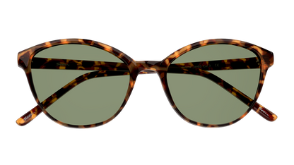 Lentes De Sol Seen NE6004 Snsf0024 Verde/Havana